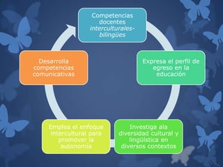 Competencias
                     docentes
                  interculturales-
                      bilingües



  Desarrolla                         Expresa el perfil de
competencias                            egreso en la
comunicativas                            educación




    Emplea el enfoque           Investiga ala
     intercultural para     diversidad cultural y
        promover la             lingüística en
         autonomía           diversos contextos
 