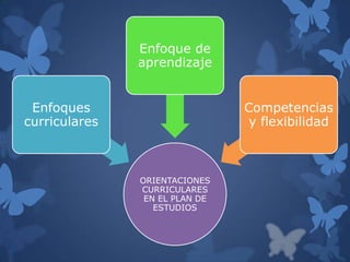 Enfoque de
               aprendizaje


 Enfoques                       Competencias
curriculares                     y flexibilidad



               ORIENTACIONES
               CURRICULARES
                EN EL PLAN DE
                  ESTUDIOS
 
