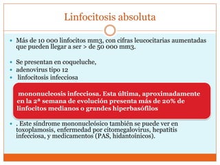 Linfocitosis absoluta

 Más de 10 000 linfocitos mm3, con cifras leucocitarias aumentadas
  que pueden llegar a ser > de 50 000 mm3.

 Se presentan en coqueluche,
 adenovirus tipo 12
 linfocitosis infecciosa

   mononucleosis infecciosa. Esta última, aproximadamente
  en la 2ª semana de evolución presenta más de 20% de
  linfocitos medianos o grandes hiperbasófilos

 . Este síndrome mononucleósico también se puede ver en
  toxoplamosis, enfermedad por citomegalovirus, hepatitis
  infecciosa, y medicamentos (PAS, hidantoínicos).
 