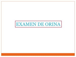 EXAMEN DE ORINA
 