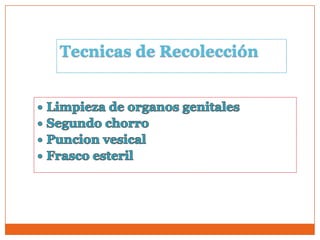 Tecnicas de Recolección
 