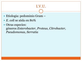 I.V.U.

 Etiologia: pedominio Gram –
 E. coli se aísla en 80%
 Otras especies:
 géneros Enterobacter, Proteus, Citrobacter,
 Pseudomonas, Serratia
 