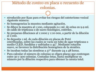Método de conteo en placa o recuento de
                      colonias.

 ntroducido por Kaas para evitar los riesgos del cateterismo vesical
    siguiente manera:
   Se homogeneiza la muestra mediante agitación.
   Se diluye la muestra al 1:100, colocando 0.1 ml. de orina en 9.9 ml.
    de caldo de tripticasa o de suero fisiológico, estériles.
   Se preparan diluciones al 1:1000 y 1:10 000, a partir de la dilución
    al 1:100.
   Se deposita 1 ml. de cada dilución en placas de Petri
    esterilizadas, sobre las cuales se vacía un tubo de agar-tripticasa o
    medio CLED, fundidos y enfriados a 45°. Mediante rotación
    suave, se favorece la distribución homogénea de la siembra.
   Se incuban todas las siembras a 37° durante 24 a 48 horas.
   Para calcular el número de colonias se eligen placas que contengan
    entre 30 y 300 colonias. Contadas éstas, basta multiplicar su
    número por la dilución respectiva para obtener la cuenta total.
 