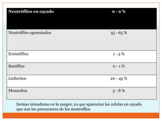 Neutrófilos en cayado                                   0-2%




Neutrófilos egmentados                                 55 - 65 %




Eosinófilos                                              1-5%


Basófilos                                                0-1%


Linfocitos                                             20 - 45 %


Monocitos                                               3-8%


    formas inmaduras en la sangre, ya que aparecian las celulas en cayado
    que son los precursores de los neutrofilos
 
