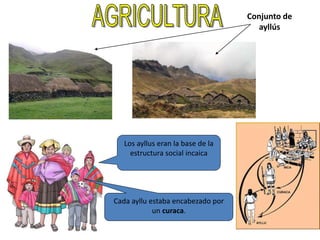 Los ayllus eran la base de la
estructura social incaica
Cada ayllu estaba encabezado por
un curaca.
Conjunto de
ayllús
 