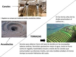 Canales
Acueductos
En las tierras altas de los
Andes practicaban el
cultivo en…
TERRAZAS
Servían para obtener tierra útil para la siembra en las escarpadas
laderas andinas. Permitían aprovechar mejor el agua, tanto en lluvia
como en regadío, haciéndola circular a través de los canales que
comunicaban sus diversos niveles, con esta medida evitaban al mismo
tiempo la erosión hidráulica del suelo.
• Regaban sus campos por medio de canales, acueductos y balsas
 