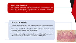 DATOS HISTOPATOLÓGICOS
DATOS DE LABORATORIO
• Son suficienteslos estudios clínicos e histopatológicoo el Papanicolaou
• En...