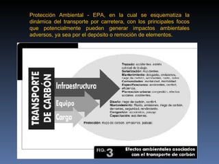 Exposicion Alexander Roa