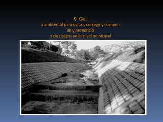 Exposicion Alexander Roa