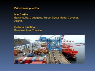 Exposicion Alexander Roa