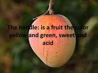 Thehandle: is a fruitthe color yellow and green, sweet and acid