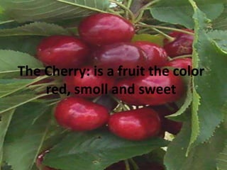 TheCherry: is a fruitthe color red, smoll and sweet