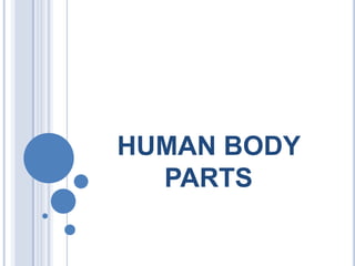 HUMAN BODY
PARTS
 