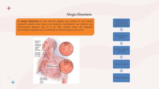 La alergia alimentaria es una reacción alérgica que consiste en que nuestro
organismo percibe como nociva una sustancia -normalmente una proteína, que
denominamos alergeno- que no lo es. Este contacto activa una respuesta
inmunológica exagerada que se manifiesta en diversos órganos del cuerpo.
Alergia Alimentaria
Síntomas más
frecuentes de la
alergia alimentaria:
Picor en boca y
paladar
Ronchas y habones
por la piel
Vómitos y/o diarrea
Dificultad respiratoria
 
