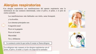 Alergias respiratorias
▪Las alergias respiratorias son manifestaciones del aparato respiratorio ante la
intolerancia de una sustancia determinada, como el polvo, el polen, o el pelo de
ciertos animales
• La sustancia contra la que actúa el cuerpo se llama alérgeno
Los alérgenos más comunes en las alergias respiratorias son el
polen, el polvo, el moho y el pelo o la caspa de los animales
Las manifestaciones más habituales son rinitis, asma bronquial,
y la alveolitis.
Los síntomas principales son:
Congestión nasal
Picor en la garganta
Picor en la nariz.
Mucosidad.
Tos y sibilancias
 