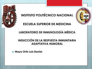 INSTITUTO POLITÉCNICO NACIONAL
ESCUELA SUPERIOR DE MEDICINA
LABORATORIO DE INMUNOLOGÍA MÉDICA
INDUCCIÓN DE LA RESPUESTA INMUNITARIA
ADAPTATIVA HUMORAL


Maya Ortiz Luis Daniel.

 