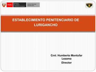 ESTABLECIMIENTO PENITENCIARIO DE
LURIGANCHO
Crnl. Humberto Montufar
Lezama
Director
 