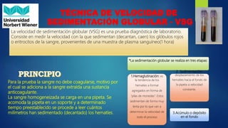 Vsg Lab tecnicas basicas manuales en hematologia | PPTX