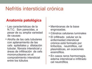 Nefritis intersticial crónica

Anatomía patológica
• Las características de la          • Membranas de la base
  N.T.C. Son parecidas, a              engrosadas.
  pesar de su amplia variedad        • Cilindros celulares luminales
  de causas:                         • El infiltrado celular en la
• Atrofia de las cels tubulares        enfermedad intersticial
  con aplanamiento de las              crónica está formado por
  cels epiteliales y dilatación        linfocitos, neutrófilos, cel
  tubular, fibrosis intersticial y     plasmáticas, en ocaciones
  áreas de infiltración de cels        eosinófilos.
  mononucleares en el                • En casos raros hermorragia,
  compratimiento intersticial          edema intersticial e infiltrado
  entre los túbulos                    cel neutrófilos
 