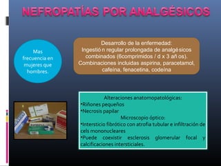 Desarrollo de la enfermedad:
     Mas         Ingestió n regular prolongada de analgé sicos
frecuencia en      combinados (6comprimidos / d x 3 añ os).
 mujeres que    Combinaciones incluidas aspirina, paracetamol,
  hombres.                cafeína, fenacetina, codeína




                            Alteraciones anatomopatológicas:
                •Riñones pequeños
                •Necrosis papilar
                                    Microscopio óptico:
                •Intersticio fibrótico con atrofia tubular e infiltración de
                cels mononucleares
                •Puede coexistir esclerosis glomerular focal y
                calcificaciones intersticiales.
 