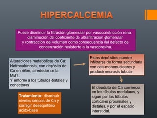 Puede disminuir la filtración glomerular por vasoconstricción renal,
         disminución del coeficiente de ultrafiltración glomerular
      y contracción del volumen como consecuencia del defecto de
                concentración resistente a la vasopresina.

                                              Estos depó sitos pueden
                                               Estos depó sitos pueden
Alteraciones metabólicas de Ca:
 Alteraciones metabólicas de Ca:              infiltrarse de forma secundaria
                                               infiltrarse de forma secundaria
Nefrocalcinosis, con depósito de
 Nefrocalcinosis, con depósito de             con cels mononucleares yy
                                               con cels mononucleares
Ca en riñón, alrededor de la
 Ca en riñón, alrededor de la                 producir necrosis tubular.
                                               producir necrosis tubular.
MBT,
 MBT,
Y entorno a los túbulos distales yy
 Y entorno a los túbulos distales
conectores
 conectores                                    El depósito de Ca comienza
                                                El depósito de Ca comienza
                                               en los túbulos medulares, yy
                                                en los túbulos medulares,
     Tratamiento: disminuir                    sigue por los túbulos
                                                sigue por los túbulos
     niveles séricos de Ca y                   corticales proximales yy
                                                corticales proximales
     corregir desequilibrio                    distales, yypor el espacio
                                                distales, por el espacio
     ácido-base                                intersticial.
                                                intersticial.
 