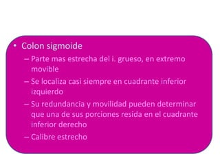 • Colon sigmoide
  – Parte mas estrecha del i. grueso, en extremo
    movible
  – Se localiza casi siempre en cuadrante inferior
    izquierdo
  – Su redundancia y movilidad pueden determinar
    que una de sus porciones resida en el cuadrante
    inferior derecho
  – Calibre estrecho
 