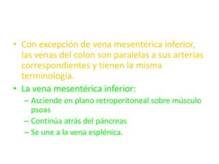 • Con excepción de vena mesentérica inferior,
  las venas del colon son paralelas a sus arterias
  correspondientes y tienen la misma
  terminología.
• La vena mesentérica inferior:
  – Asciende en plano retroperitoneal sobre músculo
    psoas
  – Continúa atrás del páncreas
  – Se une a la vena esplénica.
 
