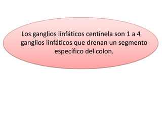 Los ganglios linfáticos centinela son 1 a 4
ganglios linfáticos que drenan un segmento
             específico del colon.
 