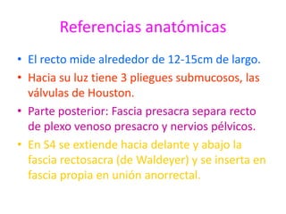 Referencias anatómicas
• El recto mide alrededor de 12-15cm de largo.
• Hacia su luz tiene 3 pliegues submucosos, las
  válvulas de Houston.
• Parte posterior: Fascia presacra separa recto
  de plexo venoso presacro y nervios pélvicos.
• En S4 se extiende hacia delante y abajo la
  fascia rectosacra (de Waldeyer) y se inserta en
  fascia propia en unión anorrectal.
 
