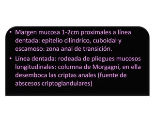 • Margen mucosa 1-2cm proximales a línea
  dentada: epitelio cilíndrico, cuboidal y
  escamoso: zona anal de transición.
• Línea dentada: rodeada de pliegues mucosos
  longitudinales: columna de Morgagni, en ella
  desemboca las criptas anales (fuente de
  abscesos criptoglandulares)
 
