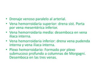 • Drenaje venoso paralelo al arterial.
• Vena hemorroidaria superior: drena sist. Porta
  por vena mesentérica inferior.
• Vena hemorroidaria media: desemboca en vena
  iliaca interna.
• Vena hemorroidaria inferior: drena vena pudenda
  interna y vena iliaca interna.
• Plexo hemorroidario: Formado por plexo
  submucoso profundo a columnas de Morgagni.
  Desemboca en las tres venas.
 