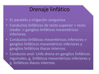 Drenaje linfático
• Es paralelo a irrigación sanguínea.
• Conductos linfáticos de recto superior + recto
  medio -> ganglios linfáticos mesentéricos
  inferiores.
• Conductos linfáticos mesentéricos inferiores->
  ganglios linfáticos mesentéricos inferiores y
  ganglios linfáticos iliacos internos.
• Conducto anal: Linfa drena en ganglios linfáticos
  inguinales, g. linfáticos mesentéricos inferiores y
  g. linfáticos iliacos internos.
 