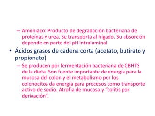 – Amoniaco: Producto de degradación bacteriana de
    proteínas y urea. Se transporta al hígado. Su absorción
    depende en parte del pH intraluminal.
• Ácidos grasos de cadena corta (acetato, butirato y
  propionato)
  – Se producen por fermentación bacteriana de CBHTS
    de la dieta. Son fuente importante de energía para la
    mucosa del colon y el metabolismo por los
    colonocitos da energía para procesos como transporte
    activo de sodio. Atrofia de mucosa y “colitis por
    derivación”.
 