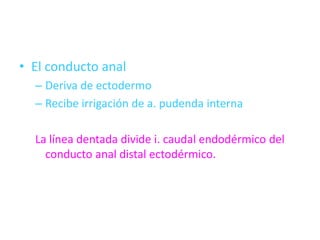 • El conducto anal
  – Deriva de ectodermo
  – Recibe irrigación de a. pudenda interna

  La línea dentada divide i. caudal endodérmico del
    conducto anal distal ectodérmico.
 