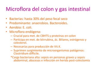 Microflora del colon y gas intestinal
•   Bacterias: hasta 30% del peso fecal seco
•   Predominante: anaerobios. Bacteroides.
•   Aerobio: E. coli.
•   Microflora endógena:
    – Crucial para met. de CBHTS y proteínas en colon
    – Participa en met. de biirrubina, ác. Biliares, estrógenos y
      colesterol.
    – Necesarias para producción de Vit.K.
    – Suprimen surgimiento de microorganismos patógenos:
      Clostridium difficile.
    *Carga bacteriana alta: sepsis en personas graves y sepsis
      abdominal, abscesos e infección en herida post-colectomía
 