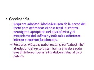 • Continencia
  – Requiere adaptabilidad adecuada de la pared del
    recto para acomodar el bolo fecal, el control
    neurógeno apropiado del piso pélvico y el
    mecanismo del esfínter y músculos esfínteres
    interno y externo funcionales.
  – Resposo: Músculo puborrectal crea “cabestrillo”
    alrededor del recto distal, forma ángulo agudo
    que distribuye fueras intraabdominales al piso
    pélvico.
 