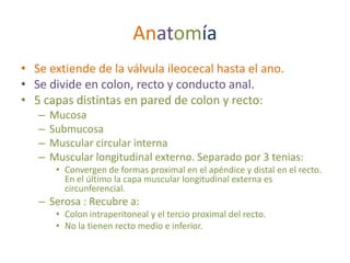Anatomía
• Se extiende de la válvula ileocecal hasta el ano.
• Se divide en colon, recto y conducto anal.
• 5 capas distintas en pared de colon y recto:
   –   Mucosa
   –   Submucosa
   –   Muscular circular interna
   –   Muscular longitudinal externo. Separado por 3 tenias:
        • Convergen de formas proximal en el apéndice y distal en el recto.
          En el último la capa muscular longitudinal externa es
          circunferencial.
   – Serosa : Recubre a:
        • Colon intraperitoneal y el tercio proximal del recto.
        • No la tienen recto medio e inferior.
 