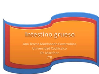 Ana Teresa Maldonado Covarrubias
      Universidad Xochicalco
           Dr. Martínez
                7°B
 