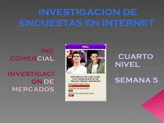 CUARTO NIVEL SEMANA 5 INVESTIGACION DE ENCUESTAS EN INTERNET  