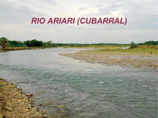 RIO ARIARI (CUBARRAL)
 
