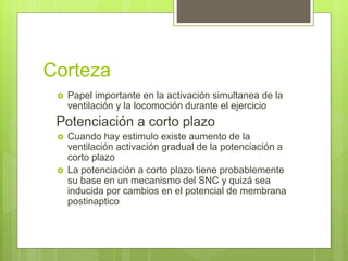 Corteza
 Papel importante en la activación simultanea de la
ventilación y la locomoción durante el ejercicio
Potenciación a corto plazo
 Cuando hay estimulo existe aumento de la
ventilación activación gradual de la potenciación a
corto plazo
 La potenciación a corto plazo tiene probablemente
su base en un mecanismo del SNC y quizá sea
inducida por cambios en el potencial de membrana
postinaptico
 