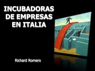 INCUBADORAS
DE EMPRESAS
  EN ITALIA




  Richard Romero
 