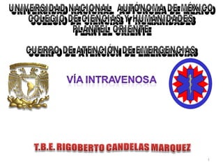 UNIVERSIDAD NACIONAL  AUTÓNOMA DE MÉXICO COLEGIO DE CIENCIAS Y HUMANIDADES PLANTEL ORIENTE CUERPO DE ATENCIÓN DE EMERGENCIAS 