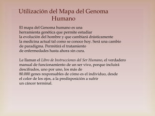 Utilización del Mapa del Genoma
Humano
El mapa del Genoma humano es una
herramienta genética que permite estudiar
la evolución del hombre y que cambiará drásticamente
la medicina actual tal como se conoce hoy. Será una cambio
de paradigma. Permitirá el tratamiento
de enfermedades hasta ahora sin cura.
Le llaman el Libro de Instrucciones del Ser Humano, el verdadero
manual de funcionamiento de un ser vivo, porque incluirá
descifrados, uno por uno, los más de
80.000 genes responsables de cómo es el individuo, desde
el color de los ojos, a la predisposición a sufrir
un cáncer terminal.

 