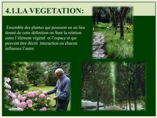 4.1.LA VEGETATION:
Ensemble des plantes qui poussent en un lieu
donné.de cette définition on Sent la relation
entre l’élément végétal et l’espace et qui
peuvent être décrit interaction ou chacun
influence l’autre
 