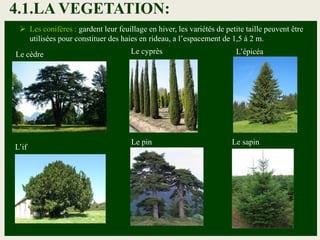 Les conifères : gardent leur feuillage en hiver, les variétés de petite taille peuvent être
utilisées pour constituer des haies en rideau, a l’espacement de 1,5 à 2 m.
Le cèdre Le cyprès L’épicéa
L’if
Le pin Le sapin
4.1.LA VEGETATION:
 