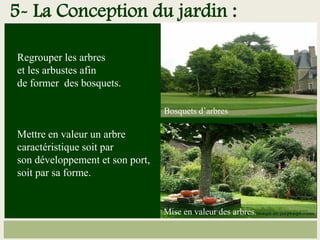 Regrouper les arbres
et les arbustes afin
de former des bosquets.
Mettre en valeur un arbre
caractéristique soit par
son développement et son port,
soit par sa forme.
Bosquets d’arbres
Mise en valeur des arbres.
5- La Conception du jardin :
 