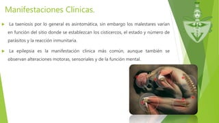 Manifestaciones Clínicas.
 La taeniosis por lo general es asintomática, sin embargo los malestares varían
en función del sitio donde se establezcan los cisticercos, el estado y número de
parásitos y la reacción inmunitaria.
 La epilepsia es la manifestación clínica más común, aunque también se
observan alteraciones motoras, sensoriales y de la función mental.
 