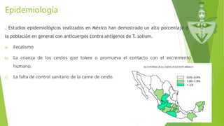 Epidemiología
. Estudios epidemiológicos realizados en México han demostrado un alto porcentaje de
la población en general con anticuerpos contra antígenos de T. solium.
a) Fecalismo
b) La crianza de los cerdos que tolere o promueva el contacto con el excremento
humano.
c) La falta de control sanitario de la carne de cerdo.
 