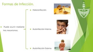 Formas de Infección.
 Puede ocurrir mediante
tres mecanismos:
 Heteroinfección.
 Autoinfección Interna.
 Autoinfección Externa.
 